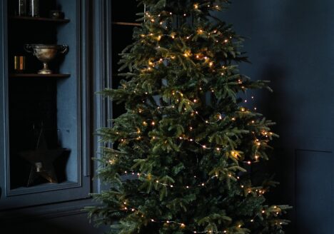 kingiideed jõuludeks