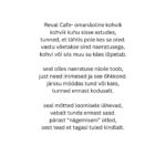 Reval Café loomekonkursi tööd 2025